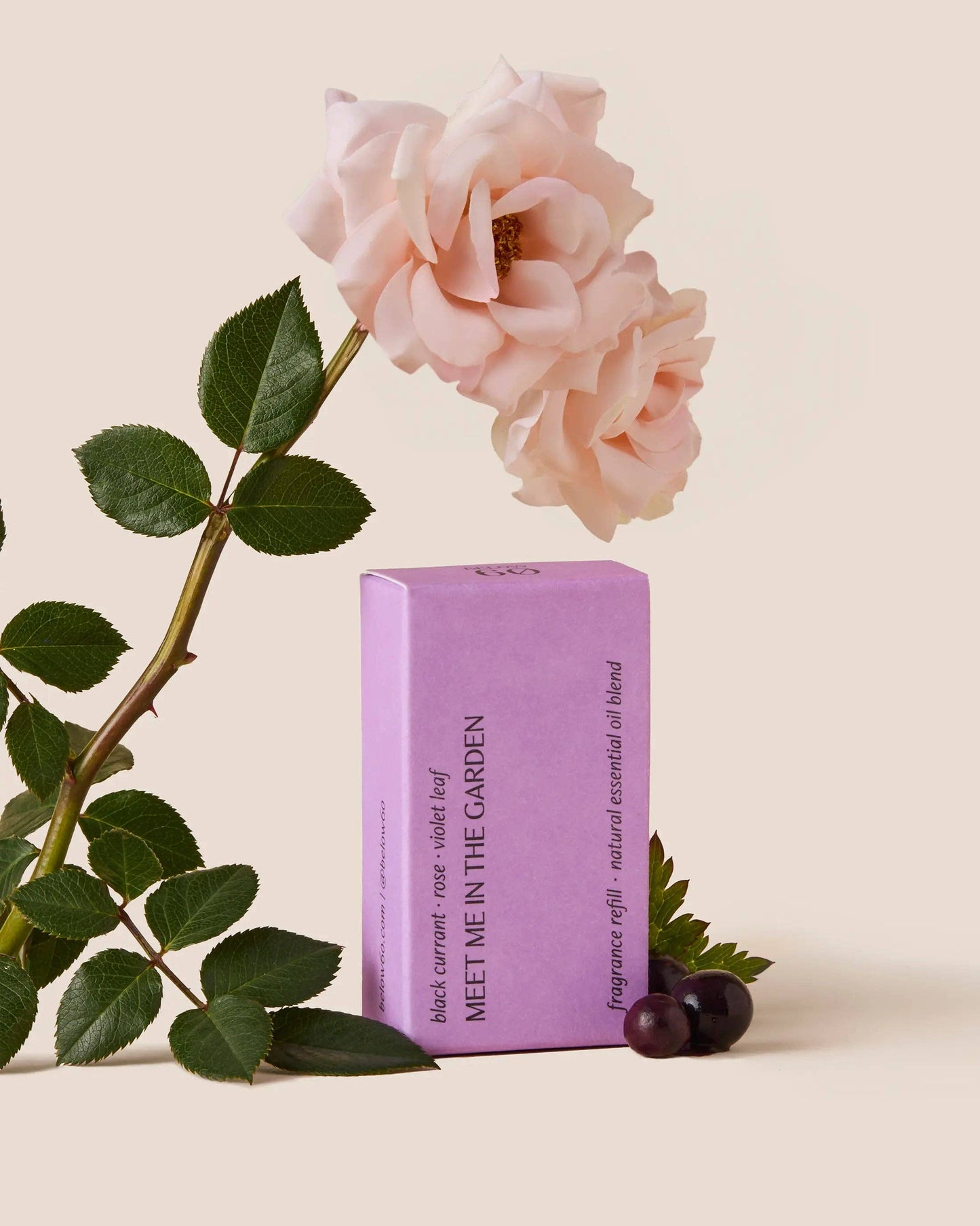 Diffuser Scent Refill | Floral, Berries & Leather | Below 60