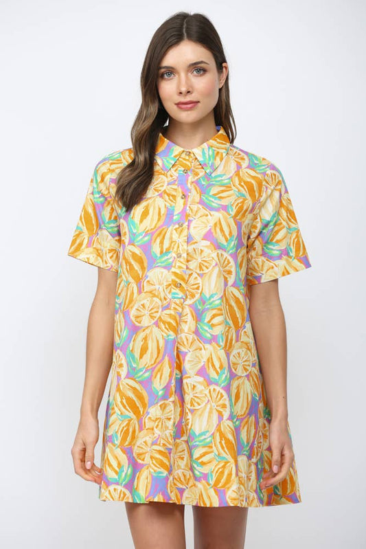 The Citrus Poplin Dress | Fate